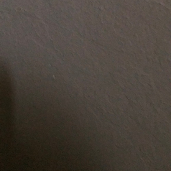 1birds1